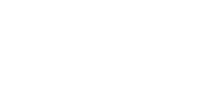 BSFG